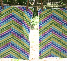photo of two burp cloths made by Homegrown Crafts featuring flannel multi colored apple chevron print